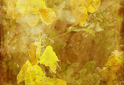 Fototapeta - Yellow texture with flowers 6003